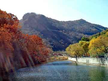 管家婆黑白马报图库，晶锐论坛